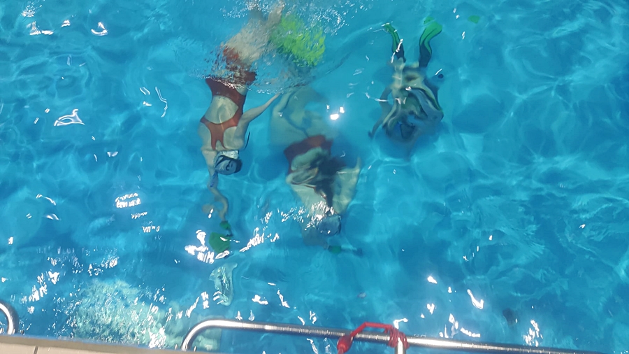 Hokej pod wodą Walenie Siemianowice Śląskie Trening 5 XI 2022. Koniec Walenia czyli Amatorska Liga Hokeja Pod Wodą